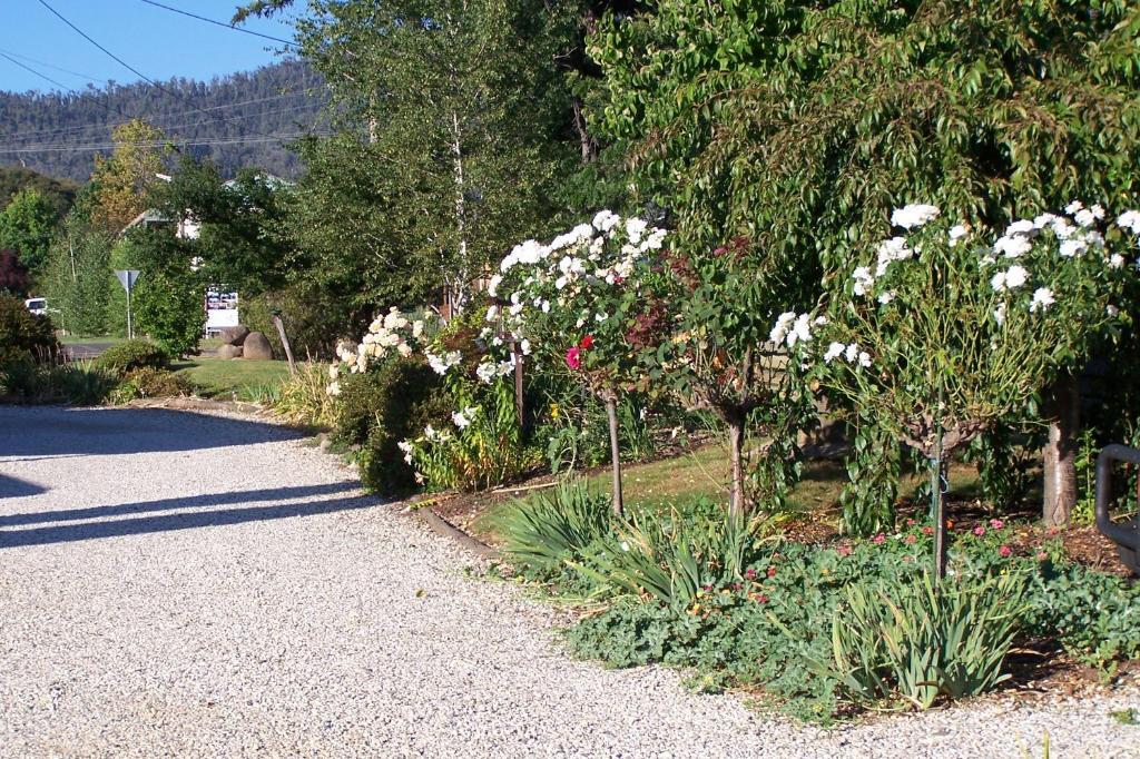 Bogong Moth Motel Маунт-Бьюти Экстерьер фото