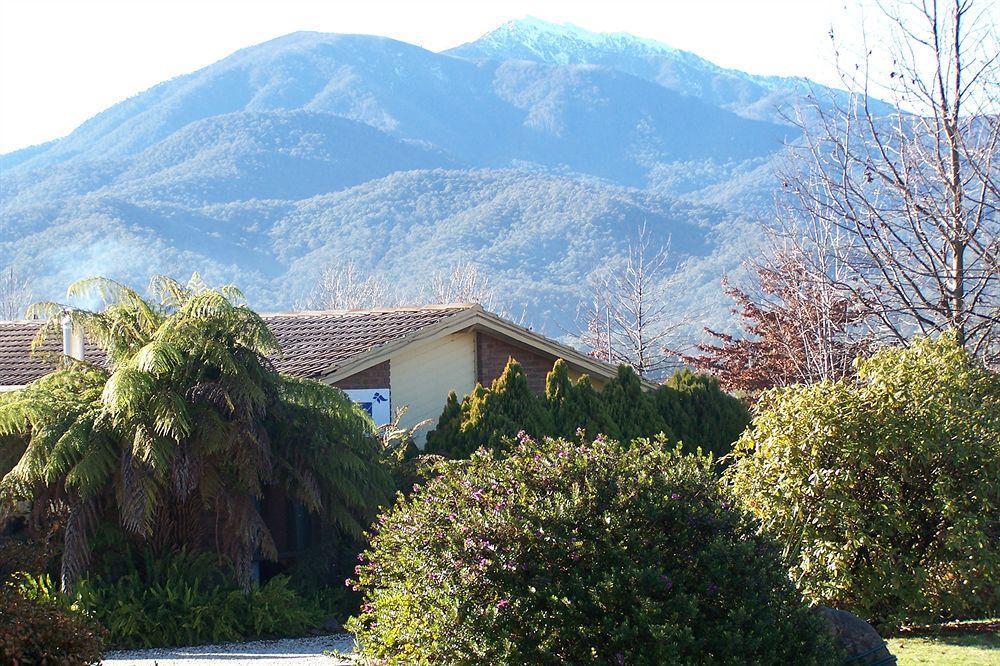 Bogong Moth Motel Маунт-Бьюти Экстерьер фото